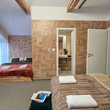 Apartmanica 1a, Finnish Sauna, Jacuzzi, Garage, *